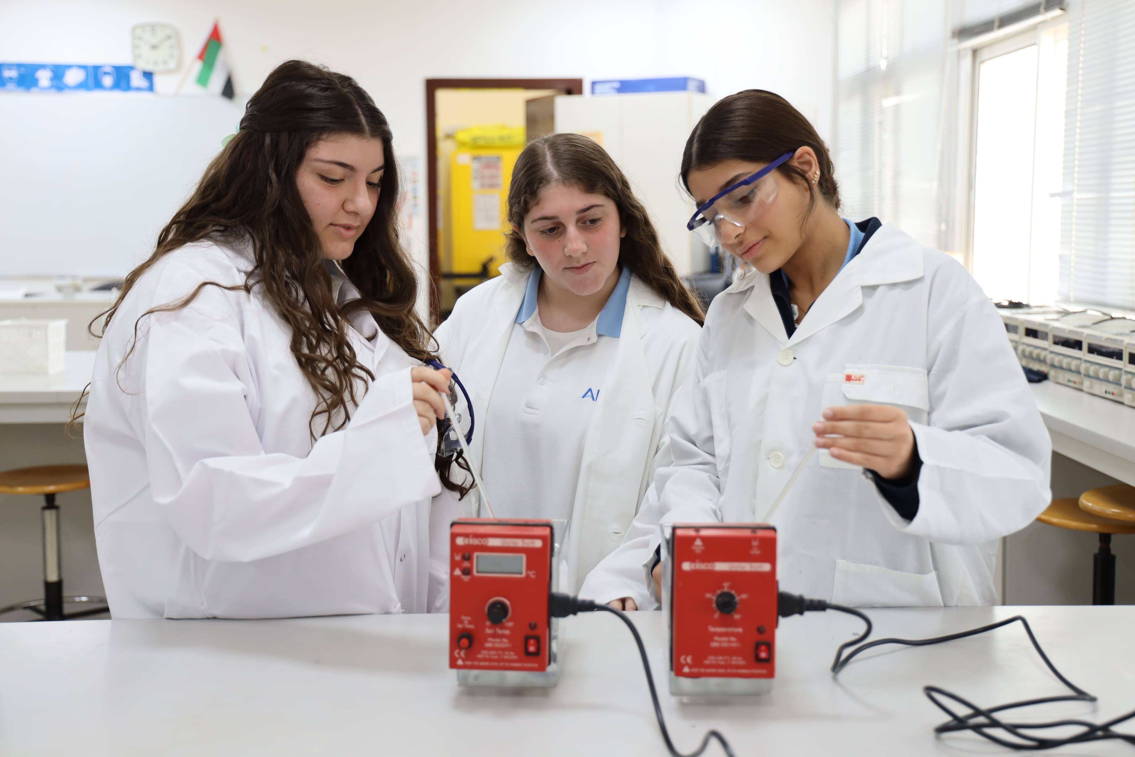 The IB at ANPS